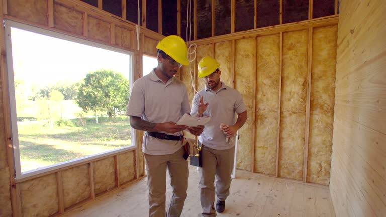 Best Soundproof Insulation  in La Joya, TX