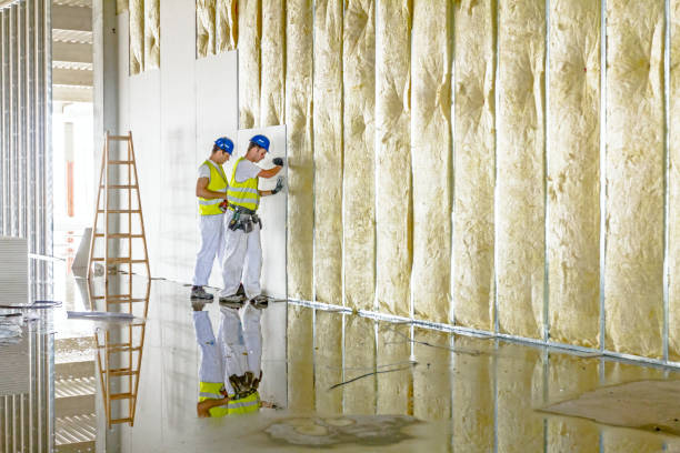 Best Insulation for New Construction  in La Joya, TX